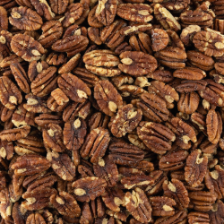 Pecannoten gezouten bio