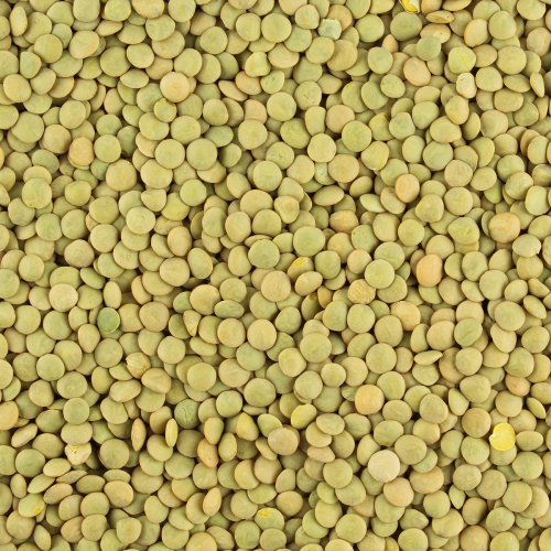 Groene linzen bio Groene linzen bio