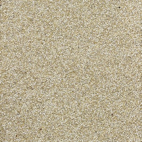 Biologische witte quinoa Biologische witte quinoa